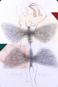 'Contrapposto' series, mixed media on paper, 100 X 70 cm, 2014