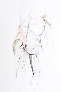 Vesalius study, mixed media on paper, 33 X 25 cm, 2013