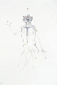 Vesalius Study, mixed media on paper, 100 X 70 cm, 2012