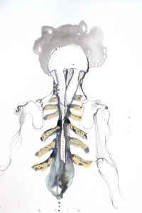 Vesalius series, mixed media on paper, 33 X 25 cm, 2012