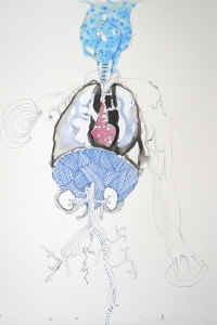 Vesalius study, mixed media on paper, 33 X 25 cm, 2013