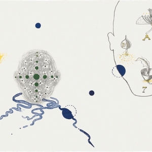 Natural History I, 50 X 65 cm, 2011