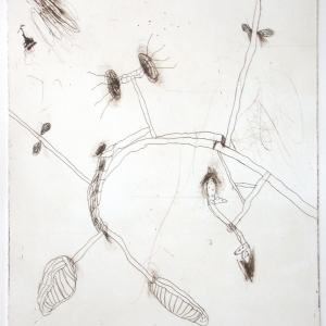 Strange Fruit I, etching, edition 10, image size 29.5 X 24.5 cm, 2005
