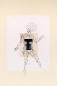 Vesalius series, mixed media on paper, 100 X 70 cm, 2020
