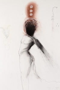 Orpheus,mixed media on paper, 100 X 70 cm, 2016 (private collection)