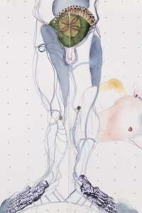 Pschopomp, mixed media on paper, 38 X 114 cm, 2015