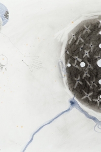 Ancestor, mixed media on paper, 50 X 66 cm, 2010 (private collection)