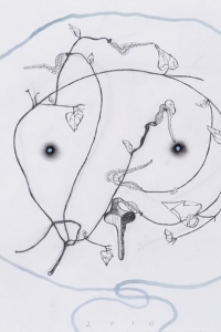 'Natural History' series, mixed media on paper, 50 X 66 cm, 2010. jpg