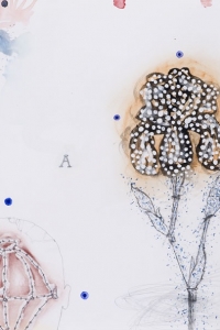 'Natural History' series, mixed media on paper, 50 X 66 cm, 2010 (collection Bea Goethart)