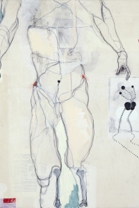 Membrane (after Vesalius), mixed media on paper on canvas, 100 X 80 cm, 2012