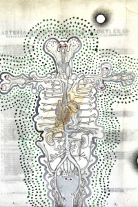 'Anatomy Lesson' series, mixed media on paper on canvas, 30 X 30 cm, 2012